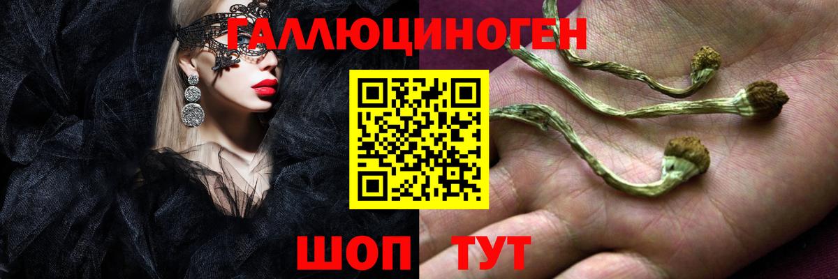 Псилоцибиновые грибы ЛСД  Вход с VPN  Ковров 
