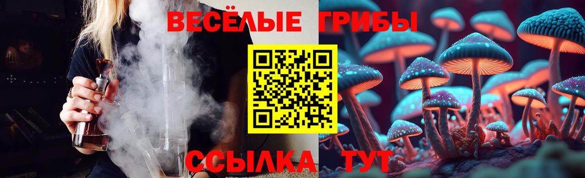 Галлюциногенные грибы Magic Shrooms Ковров